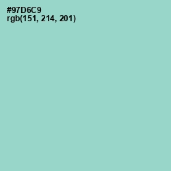 #97D6C9 - Sinbad Color Image