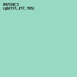 #97D9C3 - Sinbad Color Image