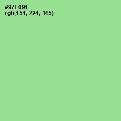 #97E091 - Granny Smith Apple Color Image