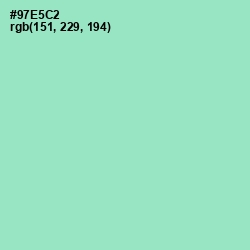 #97E5C2 - Riptide Color Image