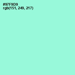 #97F9D9 - Riptide Color Image