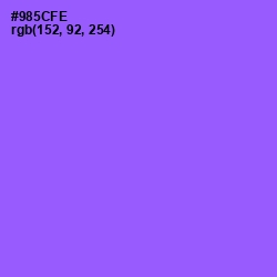 #985CFE - Medium Purple Color Image