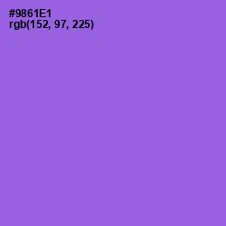 #9861E1 - Medium Purple Color Image