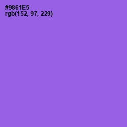 #9861E5 - Medium Purple Color Image