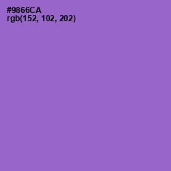 #9866CA - Amethyst Color Image