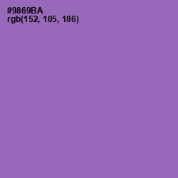 #9869BA - Wisteria Color Image