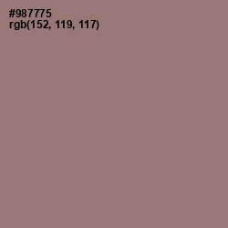 #987775 - Bazaar Color Image