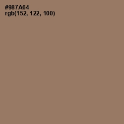 #987A64 - Cement Color Image