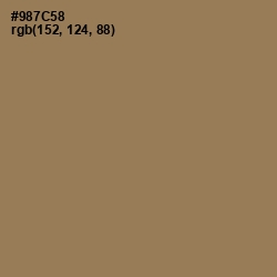 #987C58 - Leather Color Image