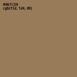 #987C59 - Leather Color Image