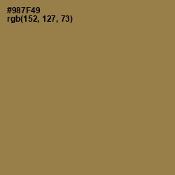 #987F49 - Leather Color Image