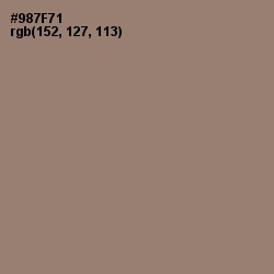 #987F71 - Almond Frost Color Image