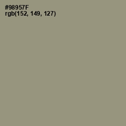 #98957F - Gurkha Color Image