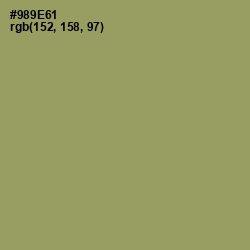 #989E61 - Avocado Color Image