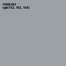 #98A2A4 - Pewter Color Image