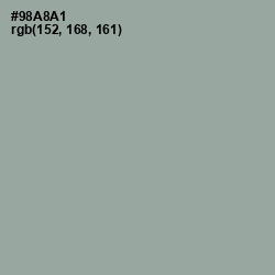 #98A8A1 - Pewter Color Image