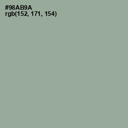 #98AB9A - Envy Color Image
