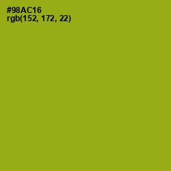 #98AC16 - Citron Color Image