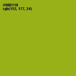 #98B118 - Citron Color Image