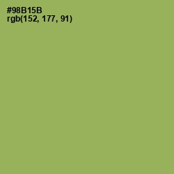 #98B15B - Chelsea Cucumber Color Image