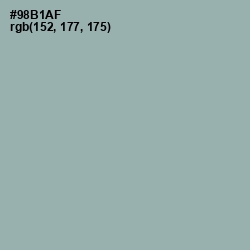 #98B1AF - Summer Green Color Image