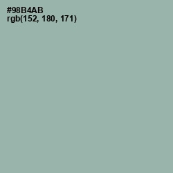 #98B4AB - Summer Green Color Image