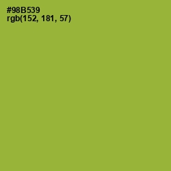 #98B539 - Sushi Color Image