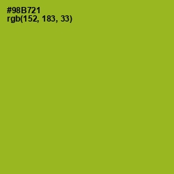 #98B721 - Sushi Color Image