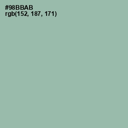 #98BBAB - Summer Green Color Image