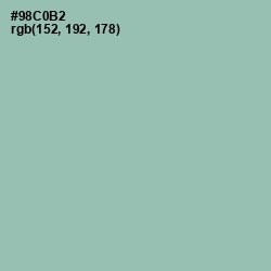 #98C0B2 - Shadow Green Color Image