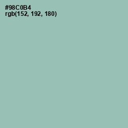 #98C0B4 - Shadow Green Color Image