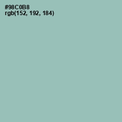 #98C0B8 - Shadow Green Color Image