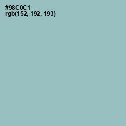 #98C0C1 - Half Baked Color Image