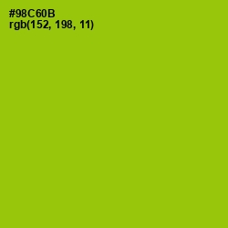#98C60B - Pistachio Color Image