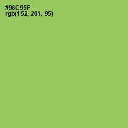 #98C95F - Celery Color Image
