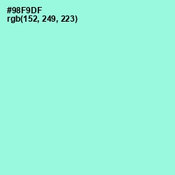 #98F9DF - Riptide Color Image