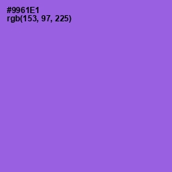 #9961E1 - Medium Purple Color Image