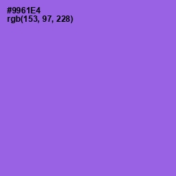 #9961E4 - Medium Purple Color Image