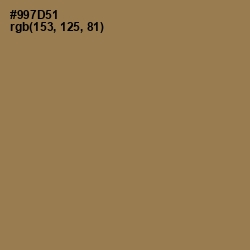 #997D51 - Leather Color Image