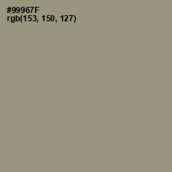 #99967F - Gurkha Color Image