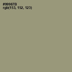 #99987B - Gurkha Color Image