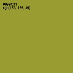 #999C31 - Sycamore Color Image