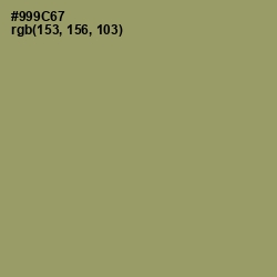 #999C67 - Gurkha Color Image