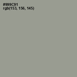 #999C91 - Mountain Mist Color Image