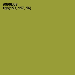 #999D38 - Sycamore Color Image