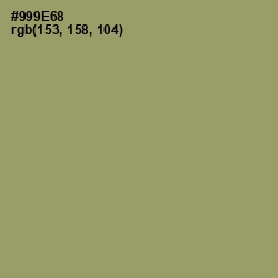 #999E68 - Gurkha Color Image