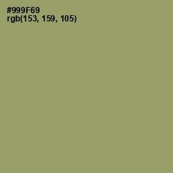 #999F69 - Gurkha Color Image