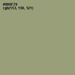 #999F79 - Gurkha Color Image