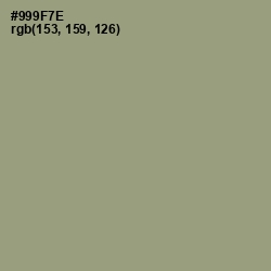 #999F7E - Gurkha Color Image