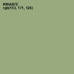 #99AB7E - Olivine Color Image